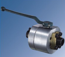 �̶�ʽ������