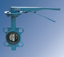 D71X Butterfly valve